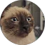 Michael B. Avatar