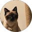 Mike B. Avatar